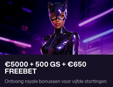 Bonussen voor de Vijfde Storting